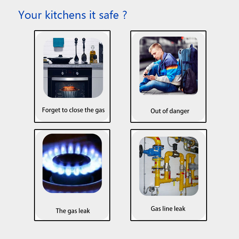 Détecteur de gaz sans fil 433M - Home Security System avis et prix