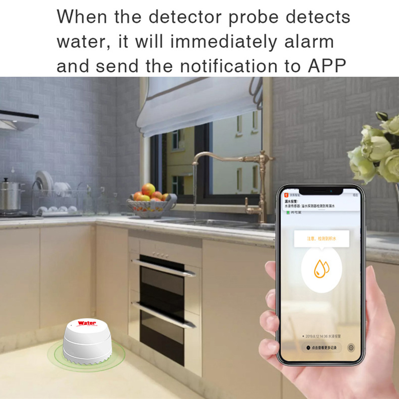Tuya – capteur de fuite d'eau  - Home Security Alarm System avis et prix