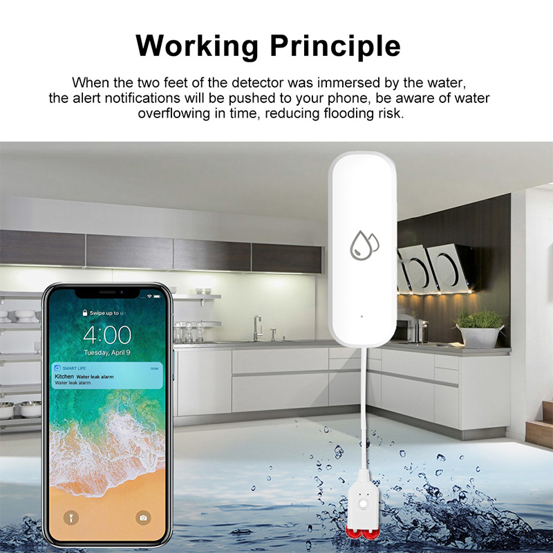 Capteur d'alarme de fuite d'ea - Home Security And Monitoring avis et prix