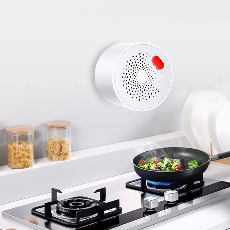Tuya-Capteur de gaz naturel do - Home Security Guard avis et prix